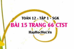 Bài 15 trang 66 Toán 12 tập 1 Chân trời sáng tạo